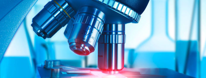 Master of Medical Sciences