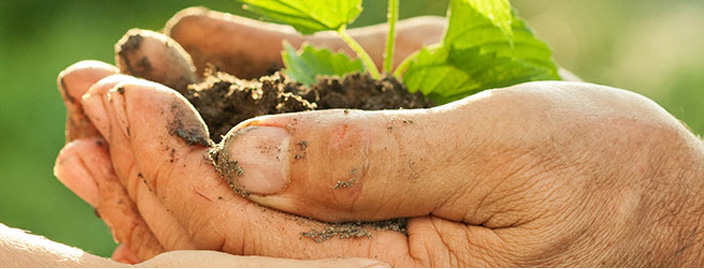 Diploma in Environmental Health