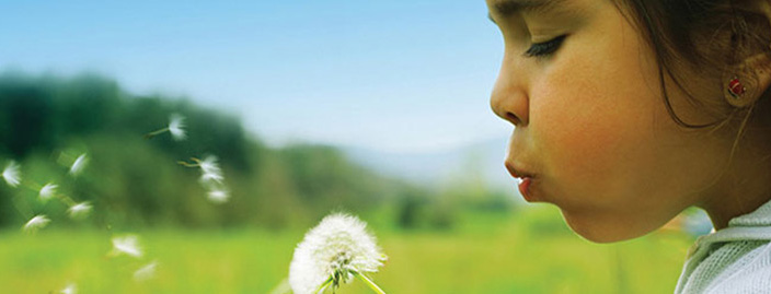 Bachelor of Environmental Health & Safety (Hons)